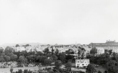 Kirkegårdsveien
