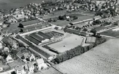 Torgveien